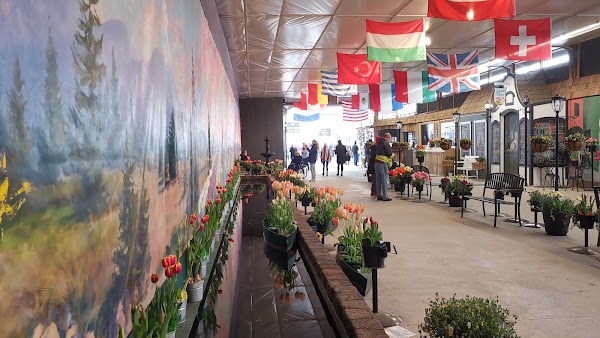 Tulip Town 4