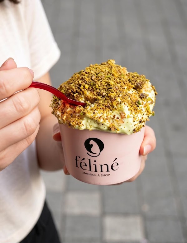 Feline Magnolia Shop 5