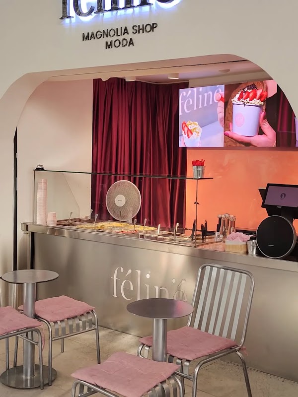 Feline Magnolia Shop 2