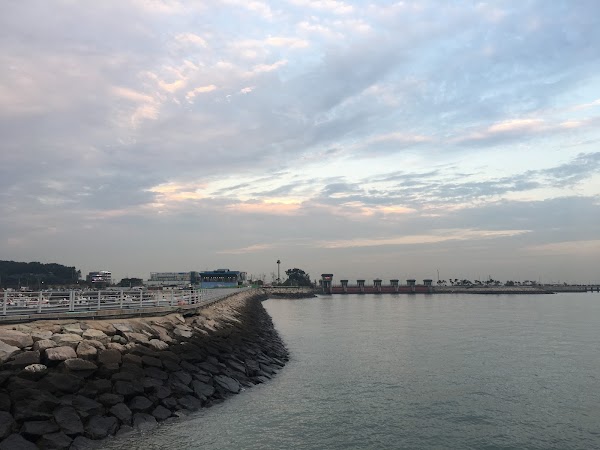 궁평항선착장 4