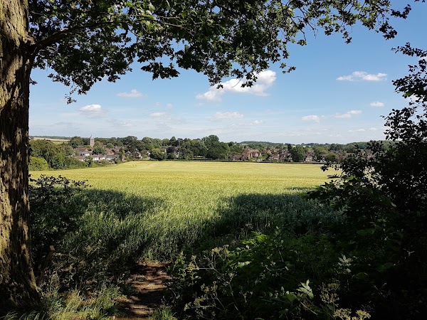 St Albans 5