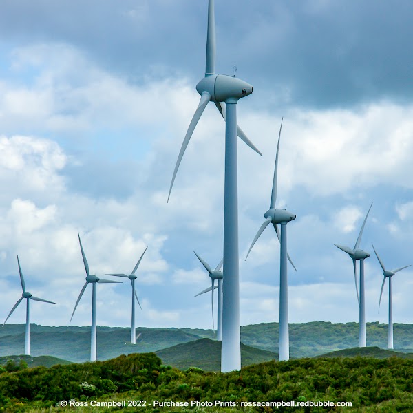 Albany Wind Farm