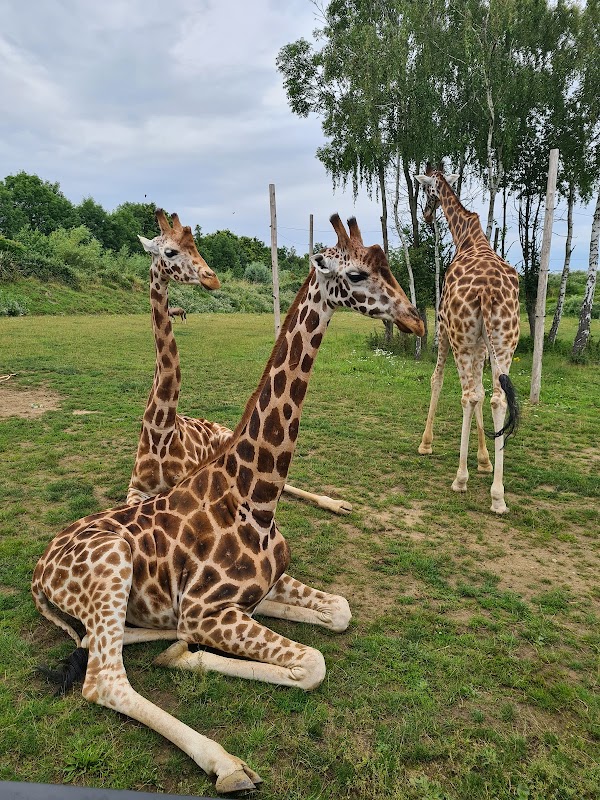 Chessington World of Adventures Resort 5