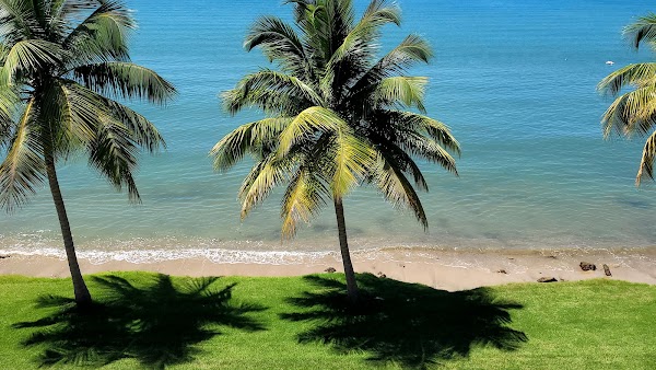 Rincón 2