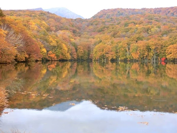 TSUTANUMA Pond