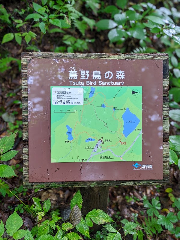 TSUTANUMA Pond 3