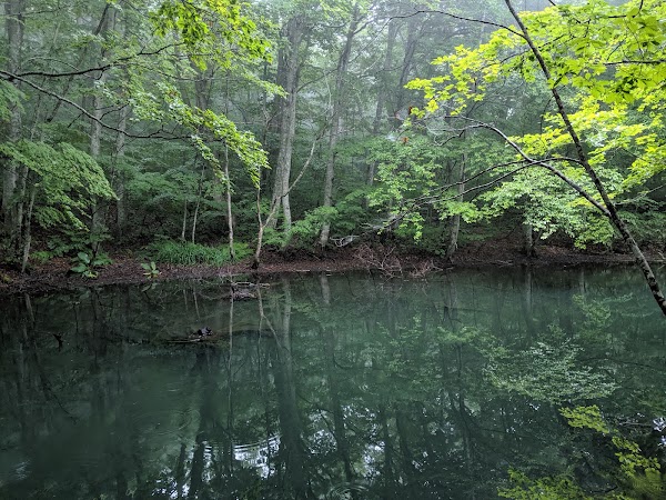 TSUTANUMA Pond 2