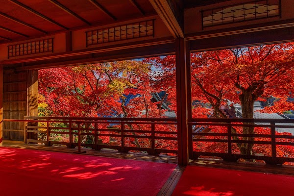 Kamishoin