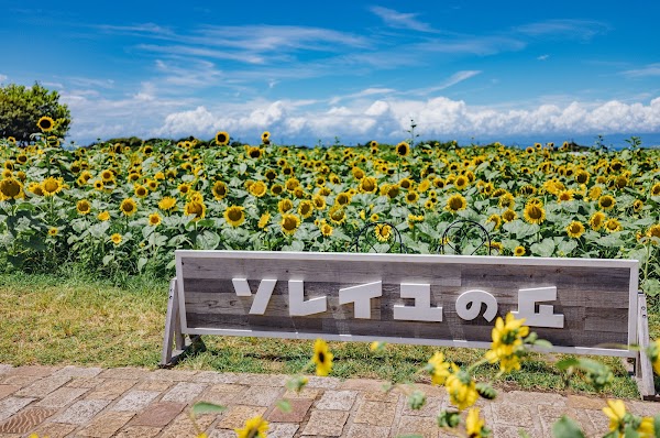Nagai Uminote Park Soleil Hill