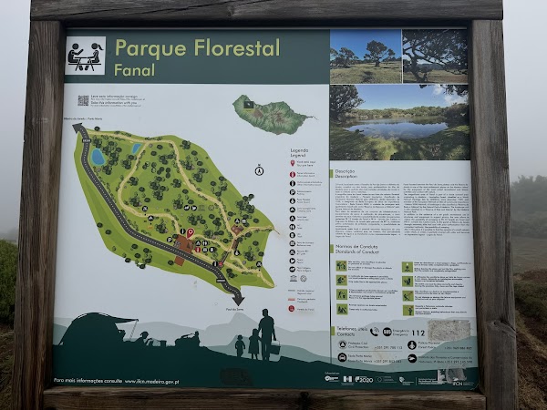 Fanal Forest 4