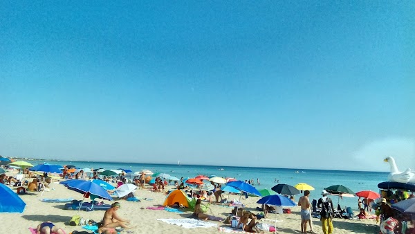 Punta Prosciutto 3