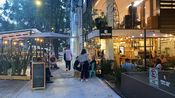 Casa Bruna Condesa