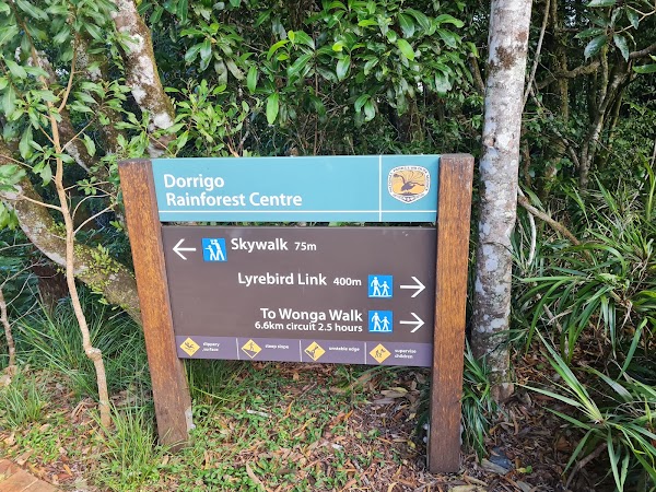 Dorrigo National Park 4