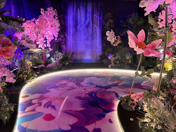 House of Dreamers London 4
