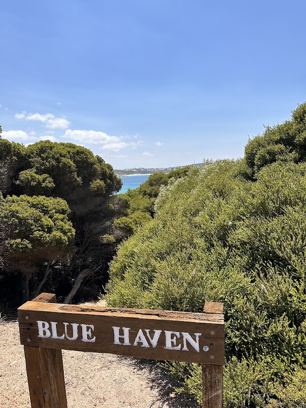 Blue Haven 4