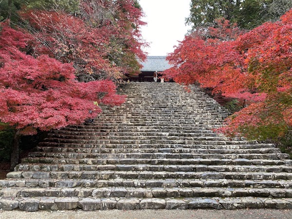 Jingo-ji Temple 4