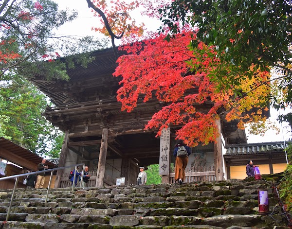Jingo-ji Temple 3