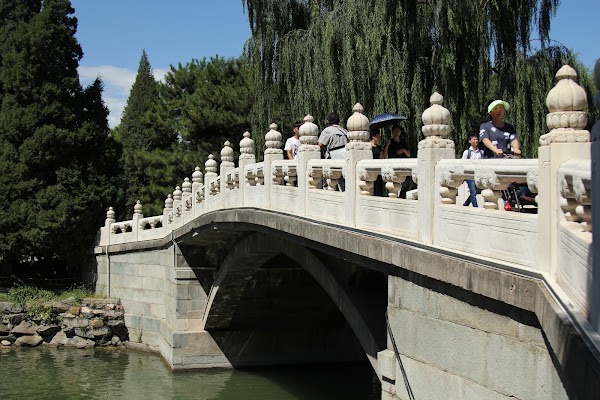 Longevity Hill 5
