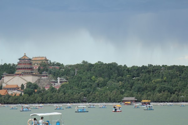Longevity Hill 4