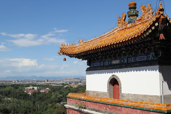Longevity Hill 3