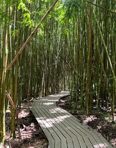 Pipiwai Trailhead