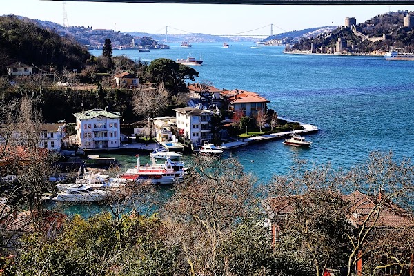 Mihrabat Korusu