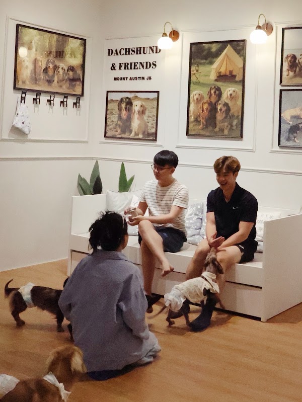Dachshund & Friends 3
