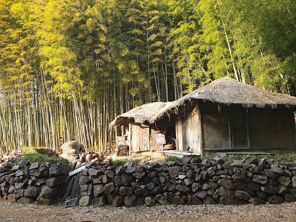 Damyang Bamboo Park 5