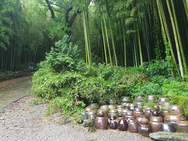 Damyang Bamboo Park 4