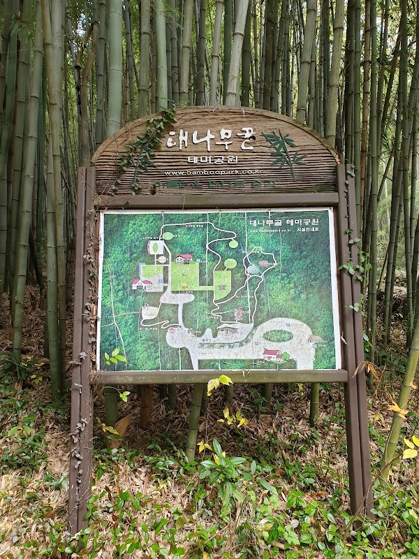 Damyang Bamboo Park 3