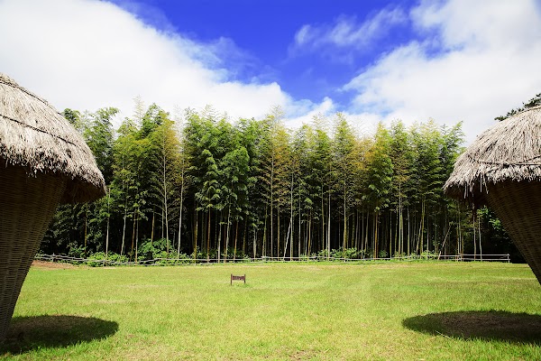 Damyang Bamboo Park 2