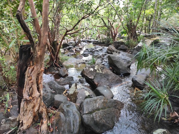 Fairy Waterfall 2