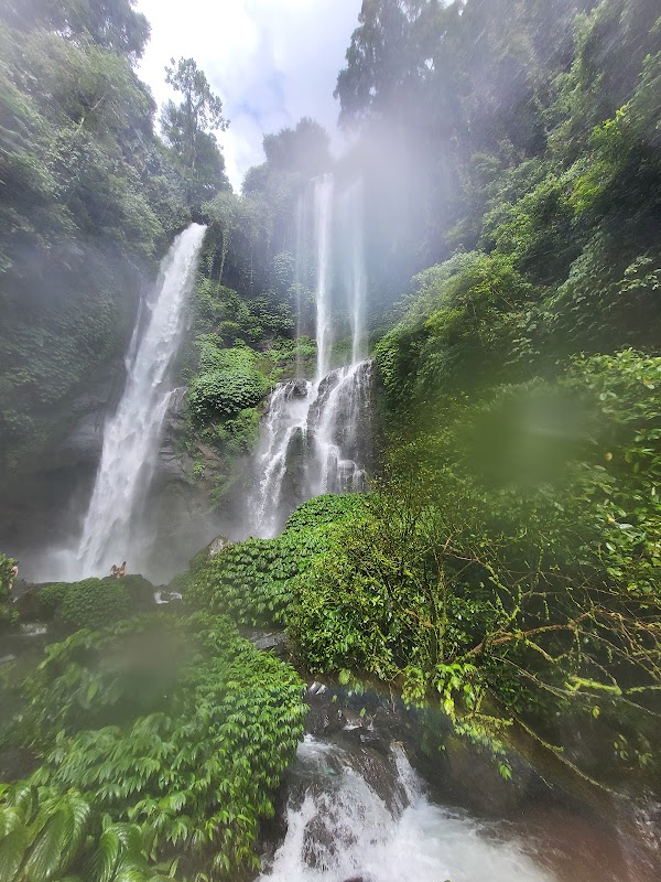 Fiji Waterfall Lemukih 5