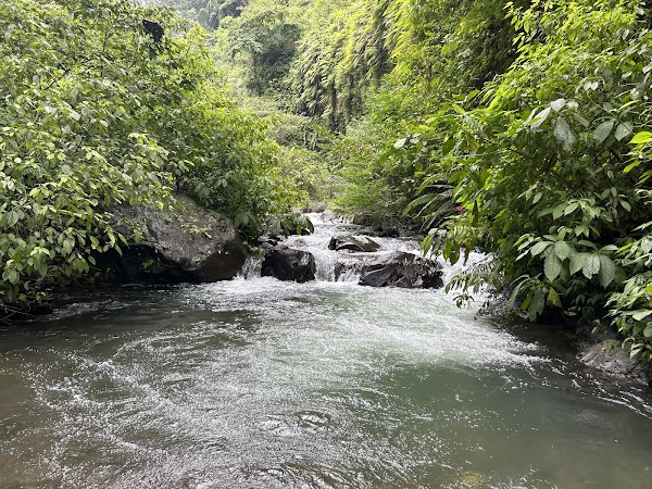 Fiji Waterfall Lemukih 4