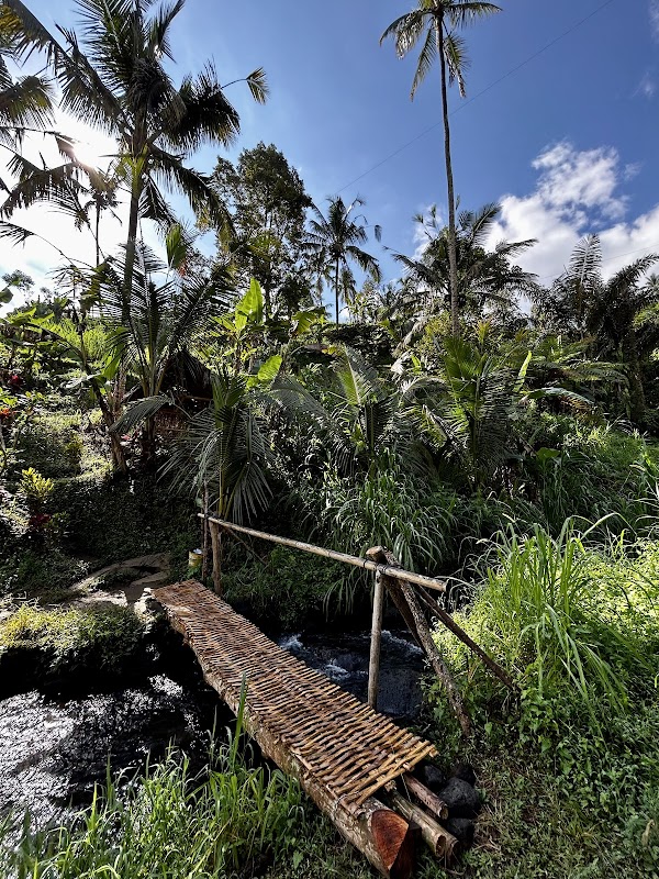 Fiji Waterfall Lemukih 2