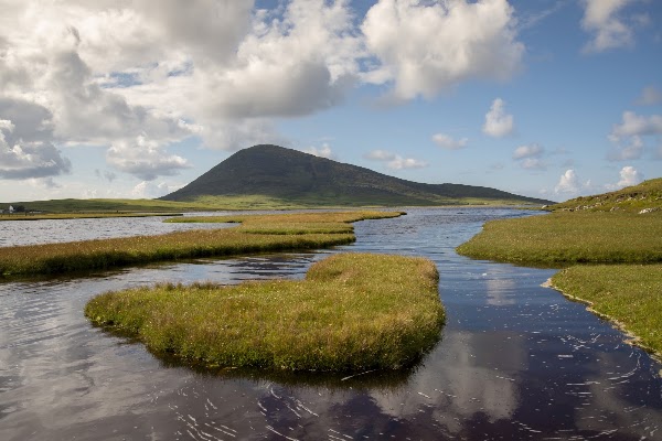 Salt Marsh: ‘Northton Saltings’