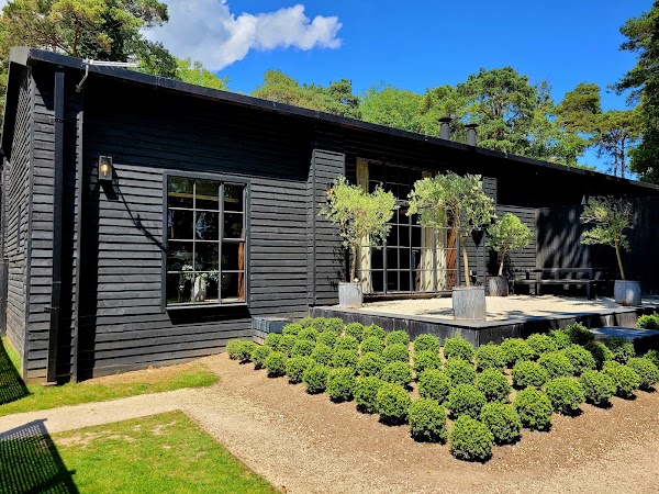 Lion Lodge