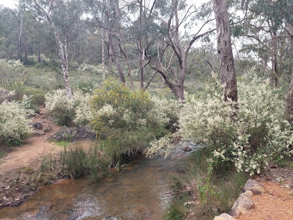 Rocky Pool 4