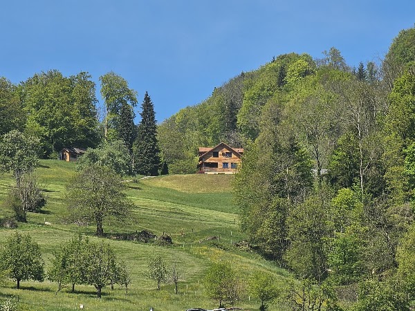 Weggis (Luftseilbahn) 3