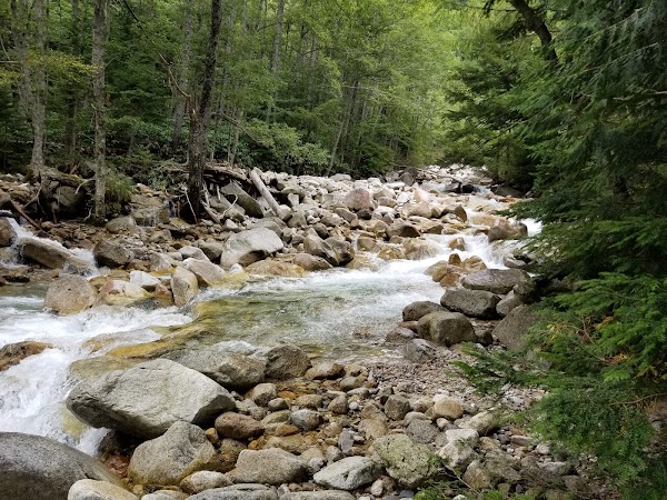 Azusa River 2