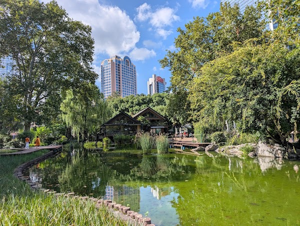 Jing'an Park 5