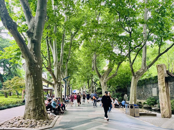 Jing'an Park 3