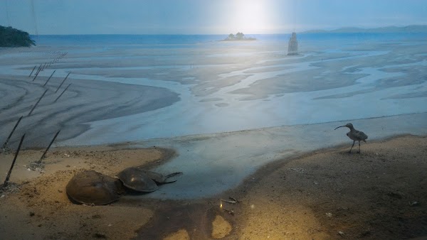 Shuangli Lake 3
