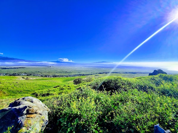 Kohala