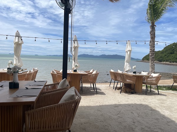 The Deck Beach Club 1
