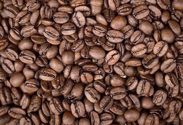 Fuku Coffee Roastery 5