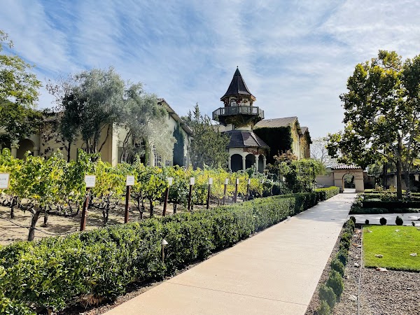 Chateau St. Jean Winery 5