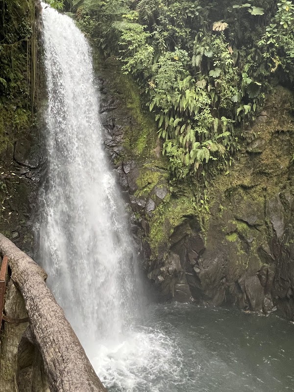 La Paz Waterfall Gardens Nature Park 5