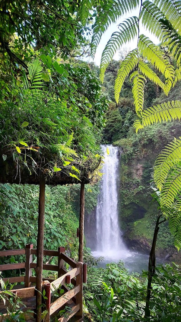 La Paz Waterfall Gardens Nature Park 2