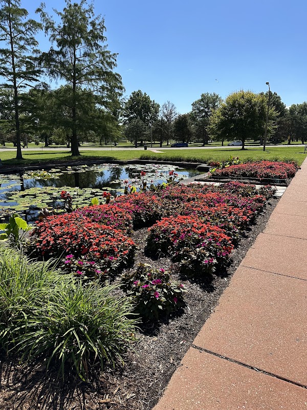 Water Lily Pond 4